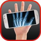 X-ray Bones simulated icon