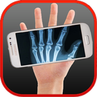 X-ray Bones simulated-icoon