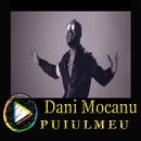 Dani Mocanu - Puiul meu 2018 APK