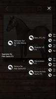 Caballo Criollo Colombiano Ekran Görüntüsü 2