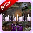 Canto da lambu do Sertão Offline-APK