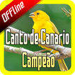 Canto de Canario Campeão Offline