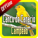 Canto de Canario Campeão Offline aplikacja