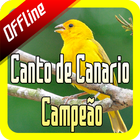 آیکون‌ Canto de Canario Campeão