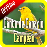 Canto de Canario Campeão icon