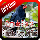 Canto de Bico de Pimenta Novo Offline aplikacja