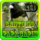 Canto do Papa Capim HD ícone