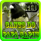 Canto do Papa Capim HD آئیکن