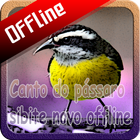 Canto do pássaro sibite novo offline 圖標