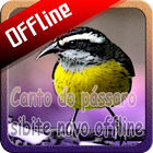 Icona Canto do pássaro sibite novo offline