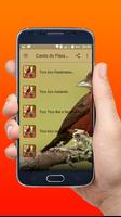 Canto do Pássaro Tico Tico rei Novo Offline screenshot 1