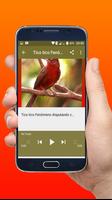 Canto do Pássaro Tico Tico rei Novo Offline capture d'écran 2