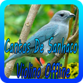 Cantos De Sanhaco Violino Offline