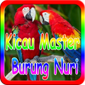 Kicau Master Burung Nuri New