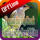 Kicauan Burung Cucak Kombo Gacor New Offline أيقونة