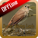 Master Sikatan Londo Gacor Terbaik Offline aplikacja