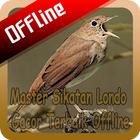 Master Sikatan Londo Gacor Terbaik Offline ícone