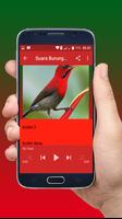 Suara Burung Kolibri Offline capture d'écran 2