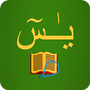 Surah Yasin : Translation & Tafsir APK