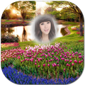 Nature photo frames