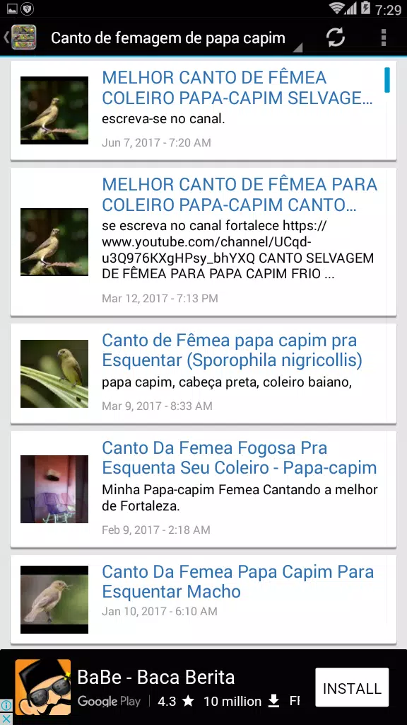 Canto De Papa-Capim – Apps no Google Play