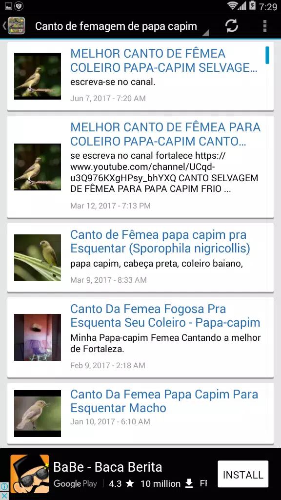 Canto De Papa Capim - Apps on Google Play