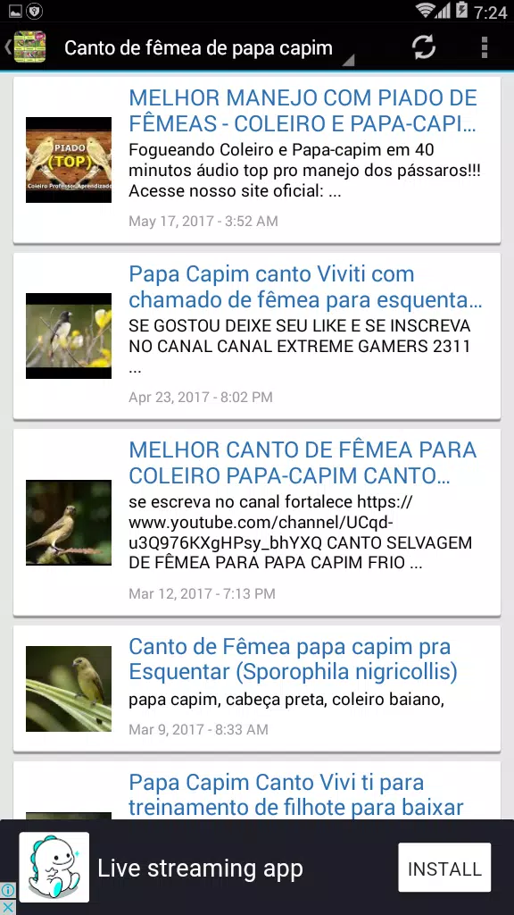 Download do APK de Canto De Papa-Capim Fêmea 2020 para Android