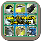 canto do pássaro peito de aço biểu tượng