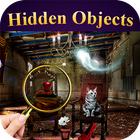 Hidden objects Mystical House icon