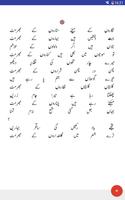 Saghar Siddiqui poetry ポスター