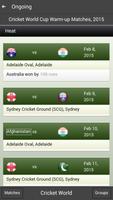 Cricket World screenshot 3