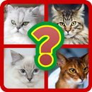 Guess Cats Breeds Quiz APK