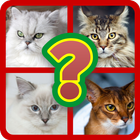 Guess Cats Breeds Quiz-icoon
