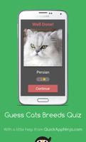 Guess Cats Breeds Quiz captura de pantalla 1