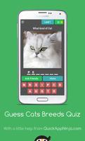 Guess Cats Breeds Quiz capture d'écran 3