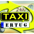 Taxi-Ertug Button