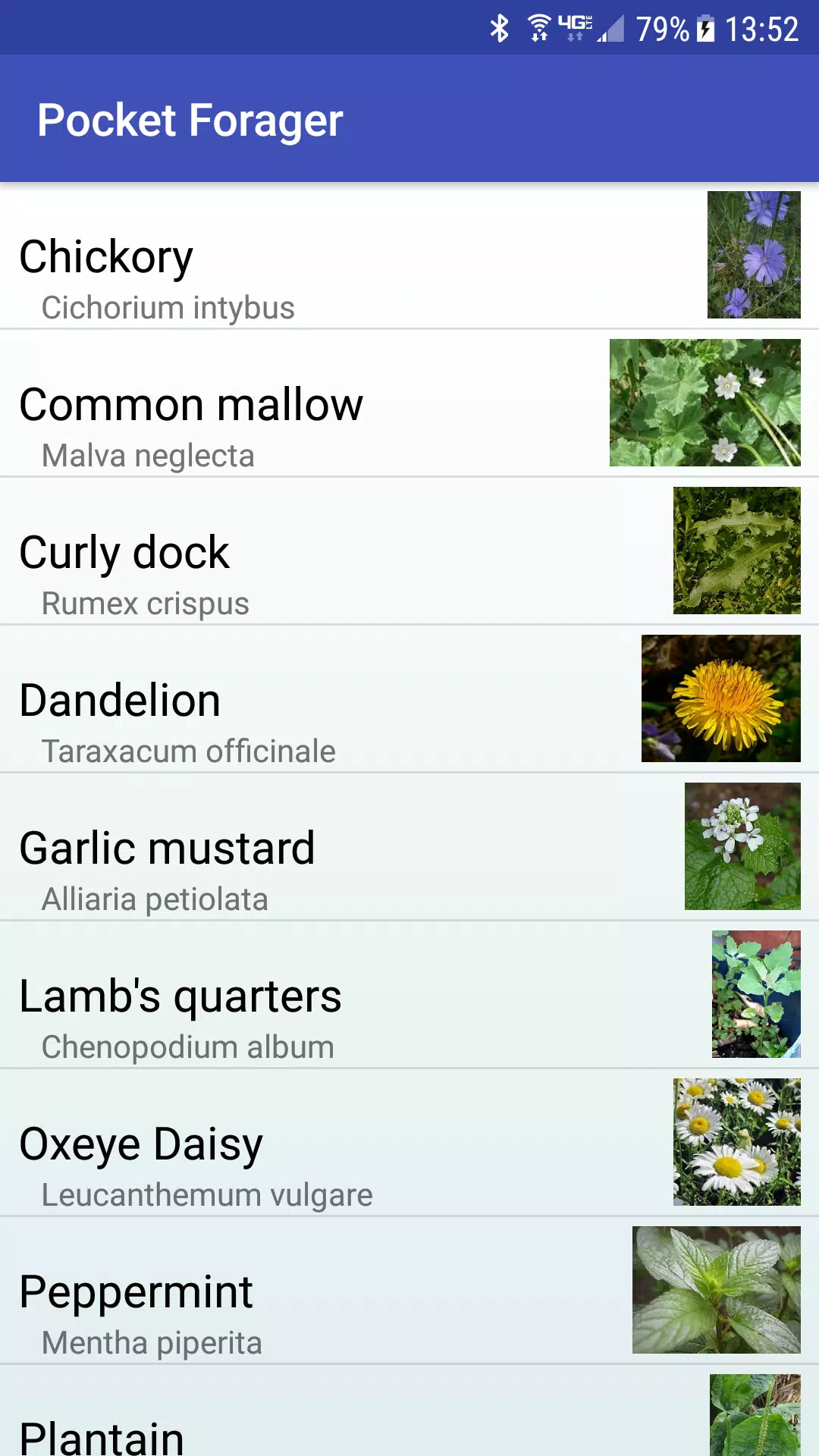 Pocket Forager安卓下载 安卓版apk 免费下载 Pocket Forager安卓下载 安卓版apk 免费下载