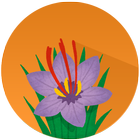 Saffron Recipes icon