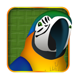 Talking Toota (Parrot)