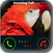 Talking Parrot Calling Prank