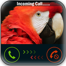 Talking Parrot Calling Prank APK