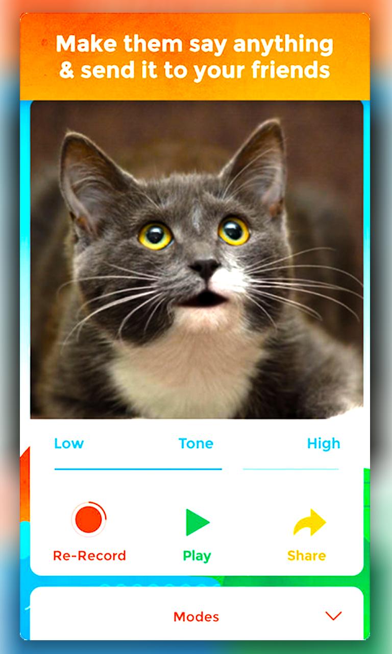 my talking pet apk free download my talking pet apk free download