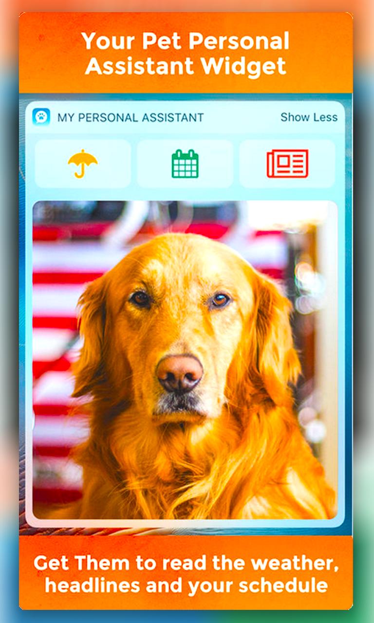 My Talking Pet - Free for Android - APK Download