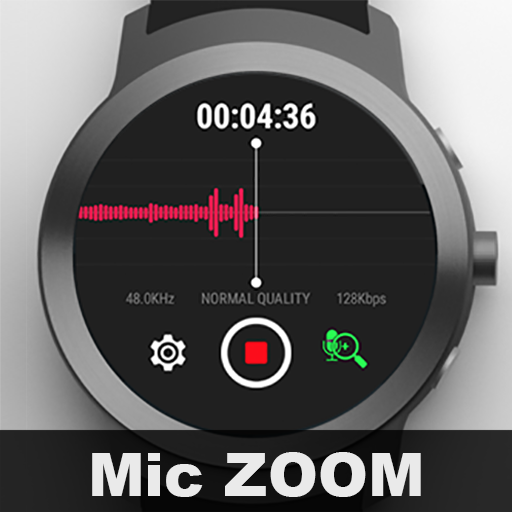 Watch Recorder con Mic. Zoom
