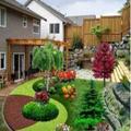 beautiful garden