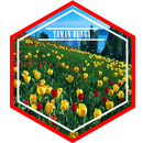 Flower Garden Live Wallpaper APK