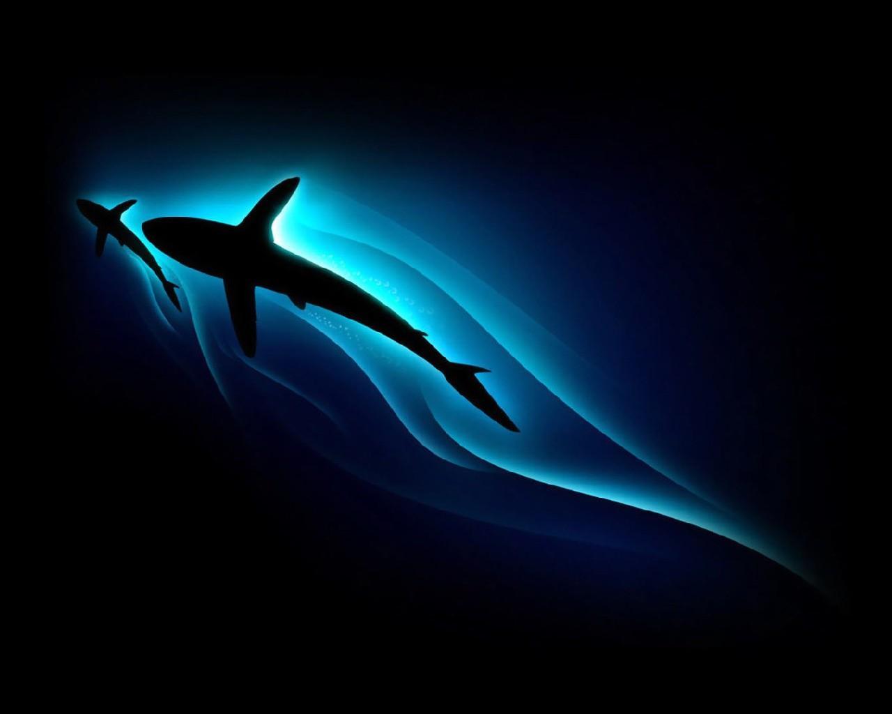 Download 400 Wallpaper Biru Hiu HD Terbaik Download 400 Wallpaper Biru Hiu HD Terbaik