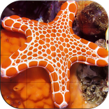 Tile Puzzle - Ocean Life