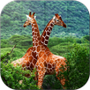 Tile Puzzle - Wildlife APK