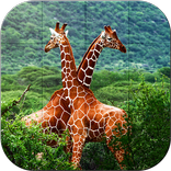 Tile Puzzle - Wildlife